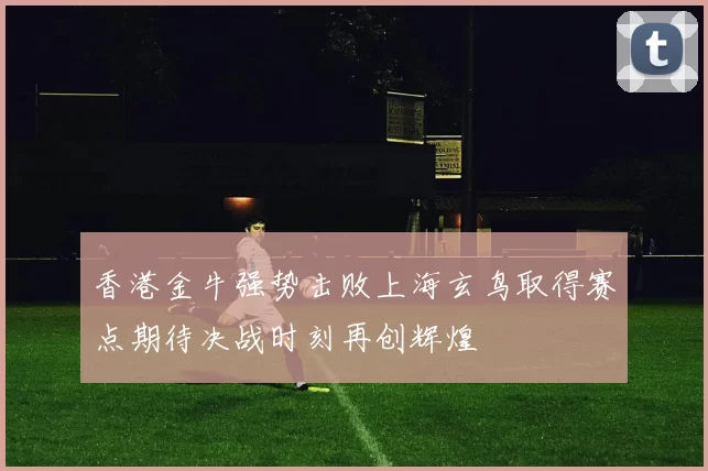 香港金牛强势击败上海玄鸟取得赛点期待决战时刻再创辉煌
